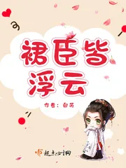 《裙臣皆浮云》封面