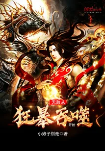 《无敌从狂暴吞噬开始》封面