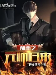 《都市之元帅归来》封面