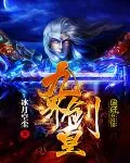 《九界剑皇》封面