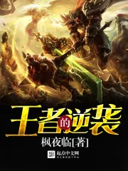 《王者的逆袭》封面