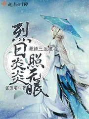 《麑镜三生昼之烈日炎炎照无眠》封面