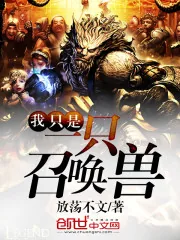 《我只是一只召唤兽》封面