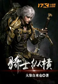《骑士纵横》封面