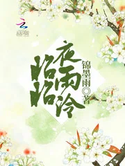 《昭昭夜雨泠》封面