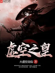 《虚空之皇》封面