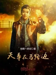 《天尊在马路边》封面