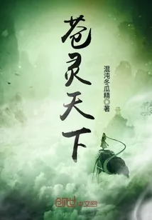 《苍灵天下》封面