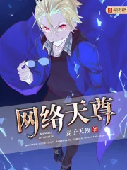 《网络天尊》封面
