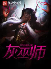 《灰巫师》封面