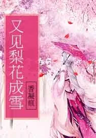 《又见梨花成雪》封面