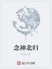 《念神北归》封面