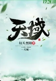 《天域》封面