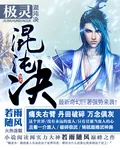 《极灵混沌决》封面