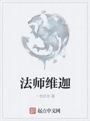 《法师维迦》封面