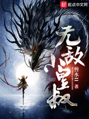 《无敌小皇叔》封面