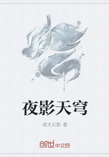 《夜影天穹》封面