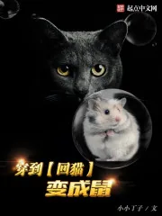 《穿到回猫变成鼠》封面