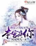 《快穿之男配不哭本宫疼你》封面