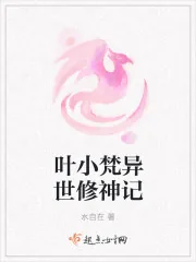 《叶小梵异世修神记》封面