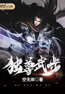 《独尊武步》封面