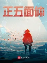 《正五面体》封面