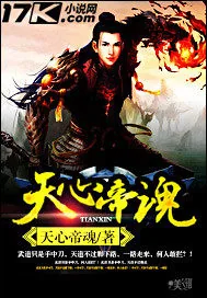 《天心帝魂》封面