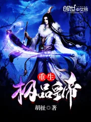 《重生极品皇帝》封面