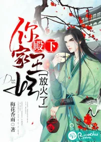 《殿下，你家王妃放火了》封面