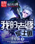 《我的老婆是土匪》封面