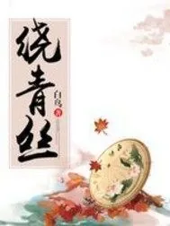 《绕青丝》封面