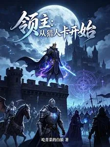 《领主：从猎人卡开始》封面