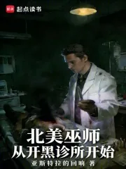 《北美巫师，从开黑诊所开始》封面