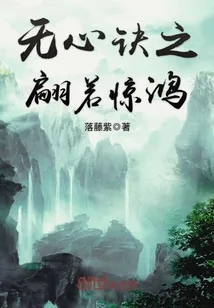 《无心诀之翩若惊鸿》封面