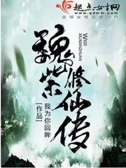 《魏紫修仙传》封面