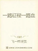 《一路征程一路血》封面
