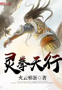《灵拳天行》封面