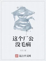 《这个厂公没毛病》封面