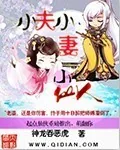 《小夫小妻小仙人》封面