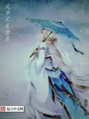 《风华不见雪月》封面
