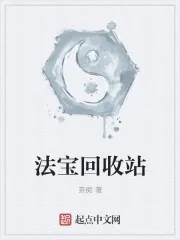 《法宝回收站》封面