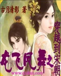 《龙飞凤舞之穿越到宋朝》封面