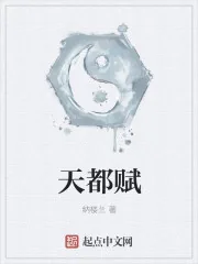 《天都赋》封面