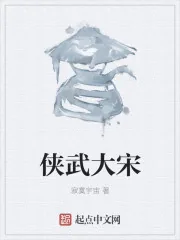 《侠武大宋》封面