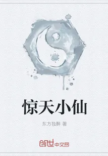 《惊天小仙》封面