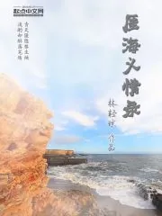 《厓海义情录》封面