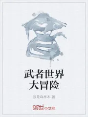 《武者世界大冒险》封面