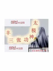 《太极神功张三丰》封面