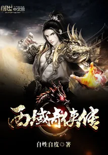 《西域奇侠传》封面