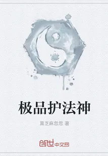 《极品护法神》封面